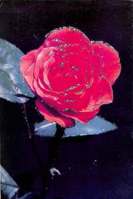 Gül Temalı Simli Kartpostal KRT12291 - 1