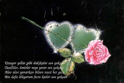 Gül Temalı Simli Kartpostal KRT14079 - Gökçekoleksiyon