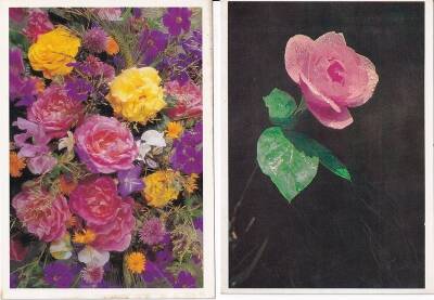 Gül ve Renkli Çiçekler 2li Kartpostal KRT10420 - 1