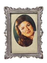 Gülden Karaböcek Çerçeveli Resim (Küçük Boy) KRT24074 - 3