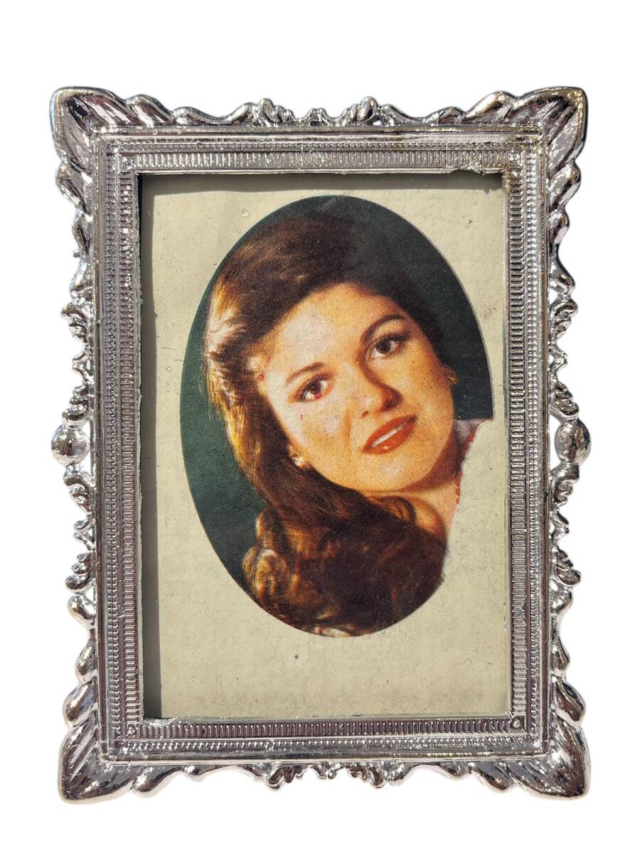 Gülden Karaböcek Çerçeveli Resim (Küçük Boy) KRT24074 - 3