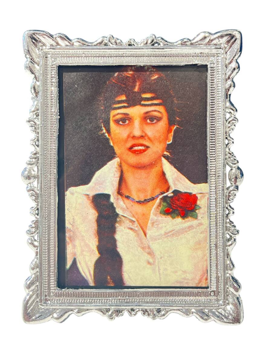 Gülden Karaböcek Çerçeveli Resim (Küçük Boy) KRT24082 - 1
