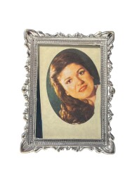 Gülden Karaböcek Çerçeveli Resim (Küçük Boy) KRT24084 - Gökçekoleksiyon