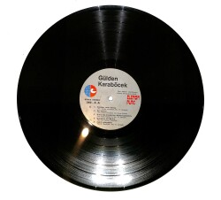 Gülden Karaböcek - Gülden Fırtınası LP PLAK (10/8.5) (VG++) PLK26477 - 3