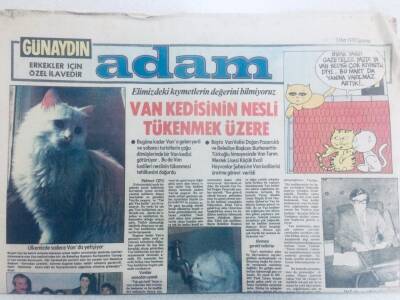 Günaydın Gazetesi Adam Eki 3 Mart 1979 - Van Kedisinin Nesli Tükenmek Üzere GZ40562 - 1