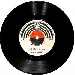 Hayri Şahin - Mecnun / Garipler Diyarı PLAK (10/6) PLK24823 - Gökçekoleksiyon