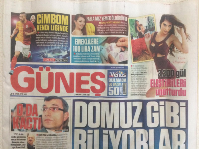 Güneş Gazetesi 15 Eylül 2015 - Halil Berktay,Domuz Gibi Biliyorlar GZ27738 - 1