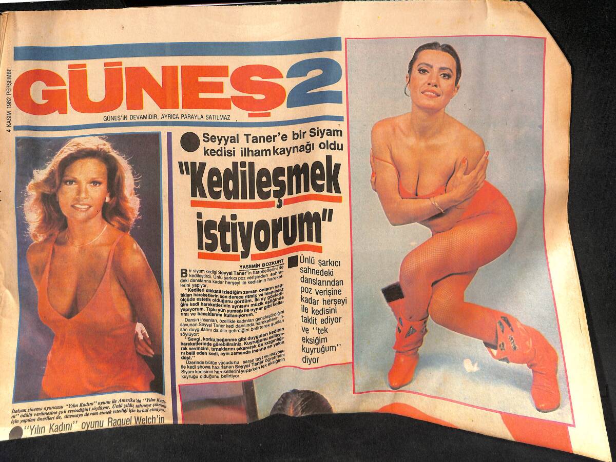 Güneş Gazetesi 2 Eki 4 Kasım 1982 - Seyyal Taner'e Bir Siyam Kedisi İlham Kaynağı Oldu GZ134146 - 1