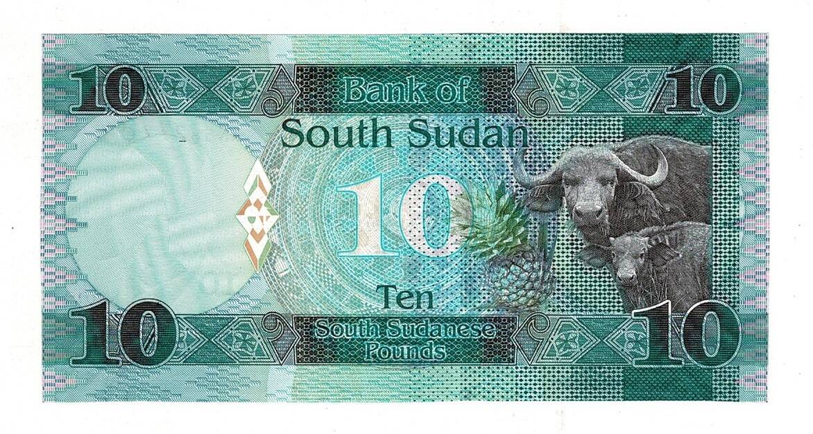 Güney Sudan 10 Pound 2015 ÇİL YKP8144 - 2