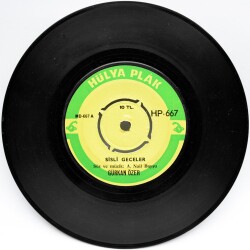 Gürkan Özer - Sisli Geceler (108.5) PLK6759 - 1