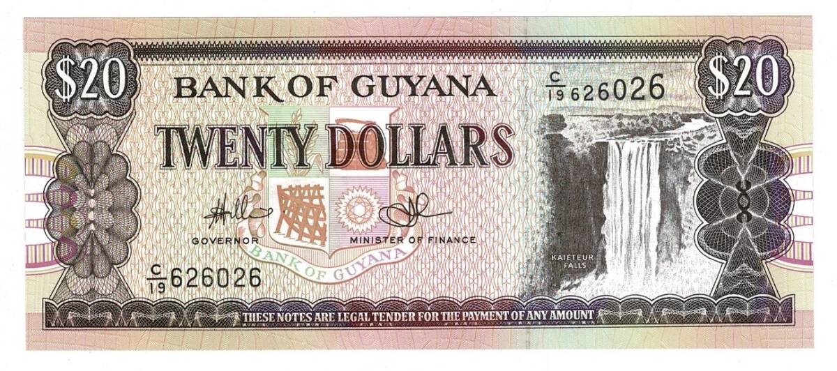 Guyana 20 Dolar (1996-2009) ÇİL YKP8425 - 3
