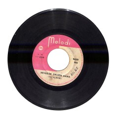 Nesrin Ünal - Sevgilim Gelsen Bana / Romen Kızı PLAK (10/7) PLK23981 - Gökçekoleksiyon