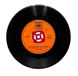 Bernd Spier - Das Kannst Du Mir Nicht Verbieten / Julia PLAK (10/7.5) PLK23939 - Gökçekoleksiyon