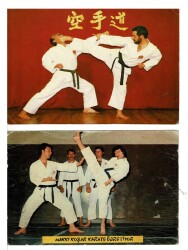 Hakkı Koşar Karete Öğretiyor - Yoko Tobi Geri (Orhan Doğaner) Kartpostal KRT7852 - Gökçekoleksiyon