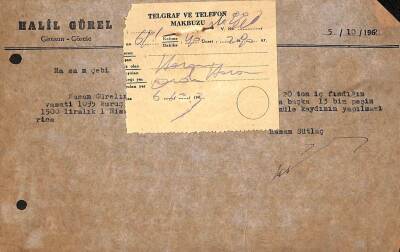 HALİL GÜREL 1962 Giresun-Görele Fındık Yazışmaları EFM(N)9968 - 1