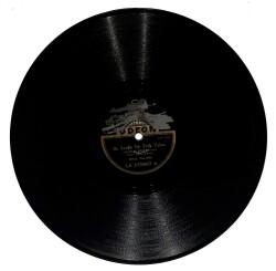 Münir Nurettin - Bu Sevda Ne Tatlı Yalan & Bir Neşe Yarat Hasta Gönül TAŞ PLAK (10/6) PLK26614 - Gökçekoleksiyon