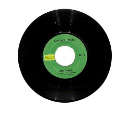 Oktay Tem - Yolun Açık Olsun / Nar Tanem PLAK (10/7.5) PLK23853 - Gökçekoleksiyon