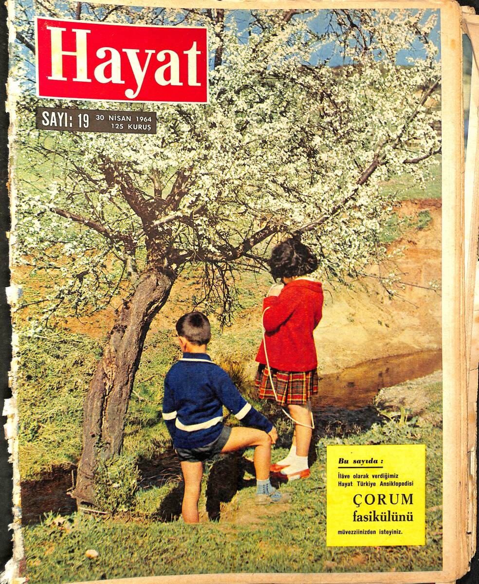HAYAT DERGİSİ 30 Nisan 1964 Sayı: 19 - Bahar Ve Çocuklar -Barbara Hutton Altı Koca Değiştirdi Ama Saadeti Bulamadı- Fırçasız Resim Yaptıran Ruhlar Var NDR96433 - 1