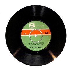 Vedat Çetinkaya - Nasıl Geçti Habersiz O Güzelim Yıllarım / Susadım Gülüşüne PLAK (10/7.5) PLK23942 - Gökçekoleksiyon