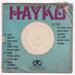 Hayko - Tavernalar Kralı *PLAK KABI* PLK10133 - 2