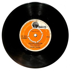Hayri Şahin ‎– Ceylan Gözlüm & Kölen Olayim Plak (10/6) PLK26841 - 1