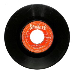 Hayri Şahin - Yaptığını Beğendin Mi? / Acı Izdırap Plak (10/6) PLK21400 - 1