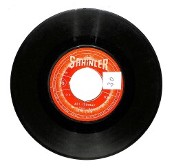 Hayri Şahin - Yaptığını Beğendin Mi? / Acı Izdırap Plak (10/6) PLK21400 - 2