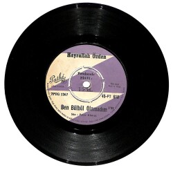 Hayrullah Özden - Ben Bülbül Olamadım (108) PLK12078 - 1