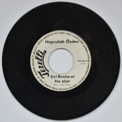 Hayrullah Özden - Gel Benim Ol Ne Olur PLAK (10/7) PLK2980 - 1