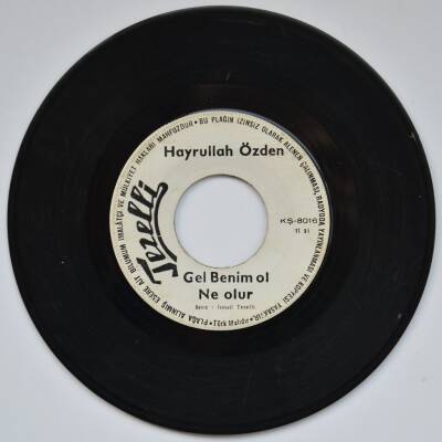 Hayrullah Özden - Gel Benim Ol Ne Olur PLAK (10/7) PLK2980 - 1