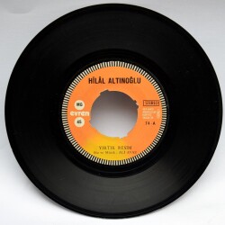 Hilal Altınoğlu - Yırtık Resim PLK4416 - 1