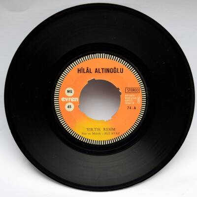 Hilal Altınoğlu - Yırtık Resim PLK4416 - 1