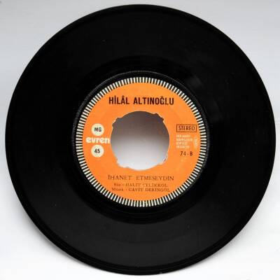 Hilal Altınoğlu - Yırtık Resim PLK4416 - 2