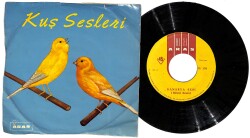 Kuş Sesleri - Kanarya Sesi PLAK (10/6.5) PLK24842 - Gökçekoleksiyon