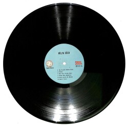 Hülya Süer - Ceren Bu Ayrılık Neden Oldu (Dönem Baskı) LP Plak (107.5) PLK22060 - 3
