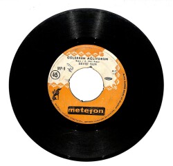 Sevgi Sun - Gülerken Ağlıyorum / Sonbahar mı Geldi PLAK (10/7.5) PLK24689 - Gökçekoleksiyon