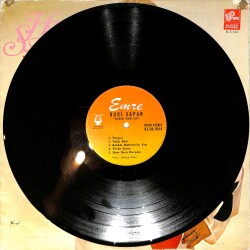 Huri Sapan - Şarkılar Senin İçin LP PLAK (10/7) PLK26546 - 3