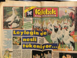 Hürriyet Gazetesi Kelebek Eki 27 Eylül 1983 - Banu Alkanla Faruk Peker İçin GZ61804 - 1