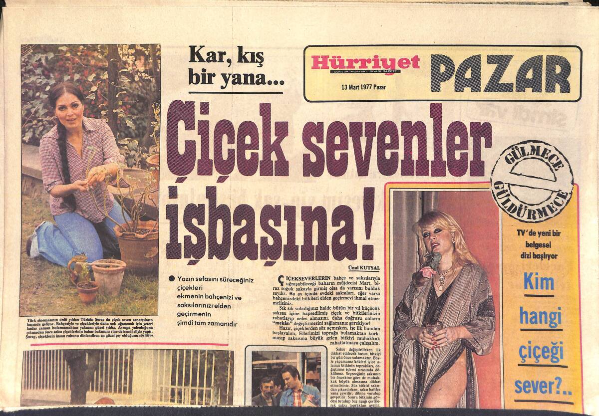 Hürriyet Gazetesi Pazar Eki 13 Mart 1977 - Çiçek Sevenler İş Başında: Türkan Şoray, Ediz Hun, Güzide Kasacı - Şaban Karataş Sementa'ya Burnunu Oynattı GZ156734 - 1