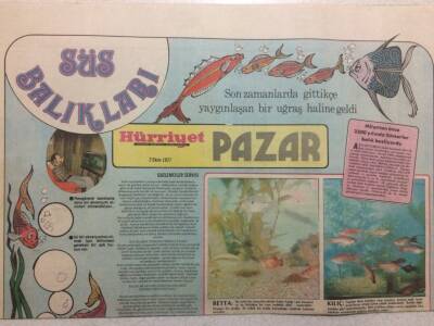 Hürriyet Gazetesi Pazar Eki 2 Ekim 1977 - Süs Balıkları GZ35090 - 1