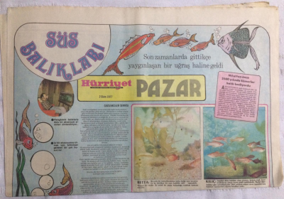 Hürriyet Pazar Eki 2 Ekim 1977 - Kirk Douglas Da Taksi Şoförlüğü Modasına Uydu - GZ19961 - 1