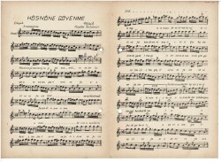 Hüsnüne Güvenme Ey Ruyi Mahım - Seni Vefasız Nota Kitapçığı EFM1981 - 3