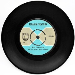 İbrahim Şentürk - Bizi Çekemediler PLAK (10/8.5) PLK8482 - 1