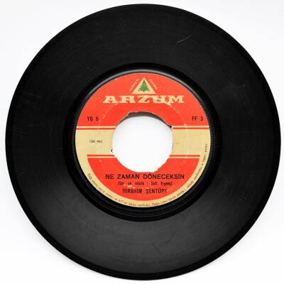 İbrahim Şentürk - Ne Zaman Döneceksin (107.5) PLK8439 - 1