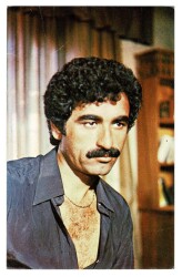 İbrahim Tatlıses Kartpostal (Küçük Boy) KRT20192 - Gökçekoleksiyon