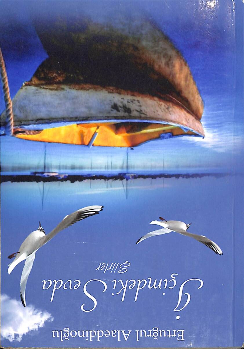 İçimdeki Sevda Şiirler NDR91599 - 1
