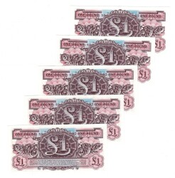 İngiltere 1948 Yılı 1 Pound Ordu Parası (5 Adet) - ÇİL YKP8817 - 2
