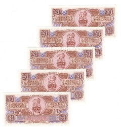 İngiltere 1956 Yılı 1 Pound Ordu Parası (5 Adet) - ÇİL YKP8819 - 2