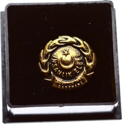 İnsanlık El Ele 1999 Deprem Broş Madalya Altın Kaplama MVM756 - Gökçekoleksiyon