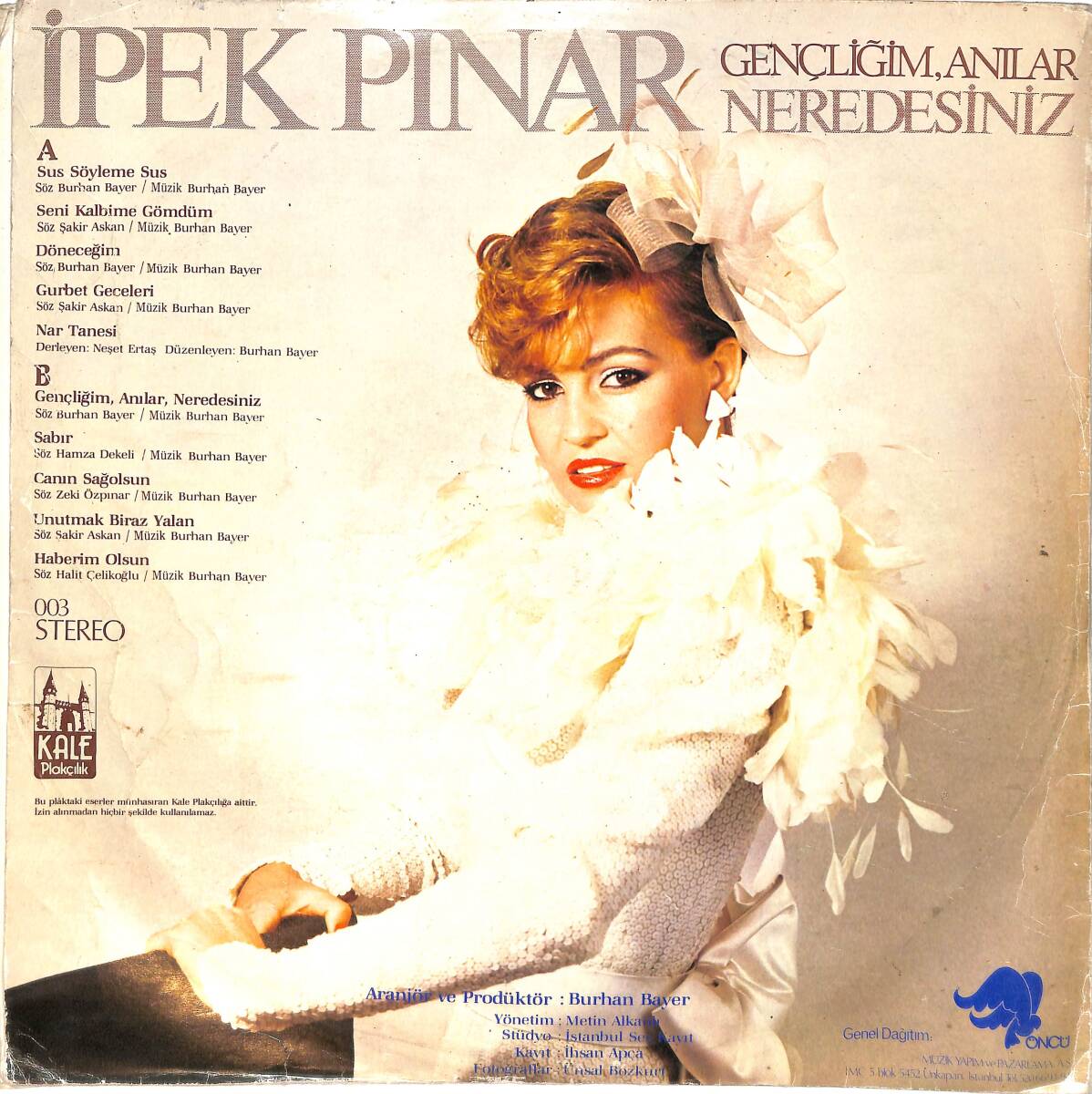 İpek Pınar - Gençliğim, Anılar, Nerdesiniz LP PLAK (10/6.5) PLK26519 - 2